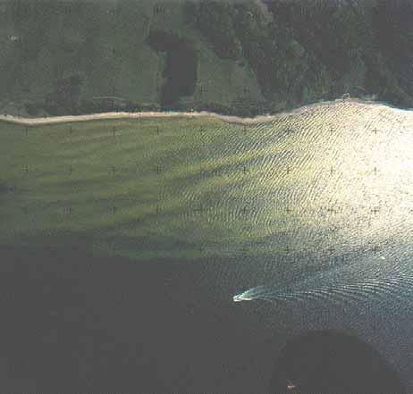 "Hot Spot" Reflextion von Wasseroberflächen Luftbild Hot Spot Abbildung der Sonnenspur Wasseroberfläche Flugrichtung Sonnenspur 1.