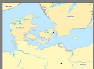 Meeresbiologischer Hintergrund Meeressäuger in der Ostsee: Seehunde (Phoca vitulina), Kegelrobben (Halichoerus grypus), Schweinswale (Phocoena phocoena) Schweinswale sind die einzigen