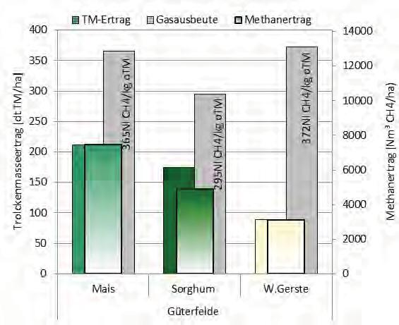 Wuchsbedingungen vor Ort beeinflusst werden. Hohe spezifische Biogasbildungspotentiale und Methanausbeuten verbessern die relative Eignung von Mais und Getreide-GP gegenüber Sorghum.