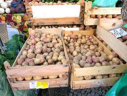 Der Grosshändler kauft die Kartoffelproduktion verschiedener Bauern auf