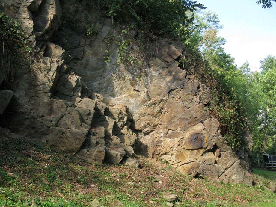 Abb. 3: Grundriss der Geologischen Wand an der Kampmannbrücke (T. KASIELKE nach RICHTER 1996). Abb.