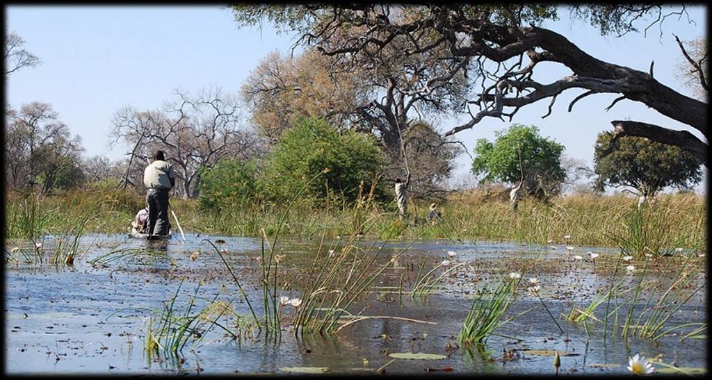 Mietwagenrundreise 14 Tage Namibia und Botswana Kategorie 3 Erkunden Sie einige der schönsten Wildreservate Afrikas!