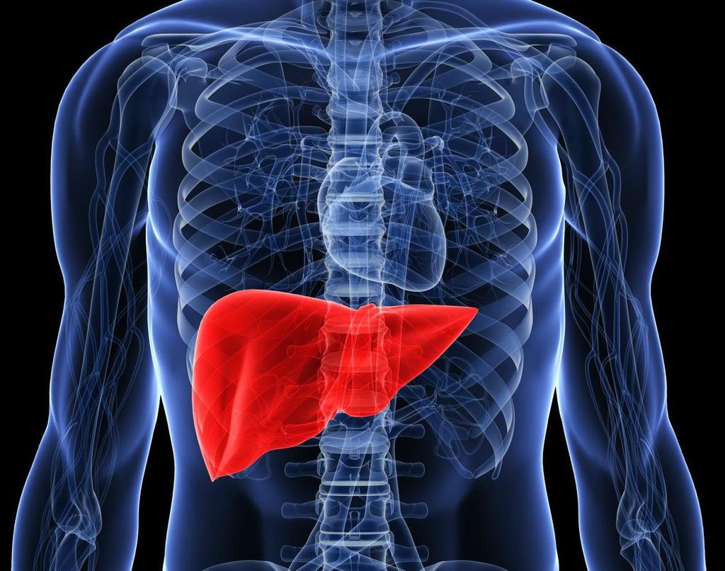 Alcoholic Liver Disease Non-alcoholic steatohepatitis (NASH) Viral Hepatitis C & B/D, E Hemochromatosis Wilson Disease A1-Antirypsin Deficiency (A1AD) Drug-Induced Liver Injury (DILI) Chronic liver