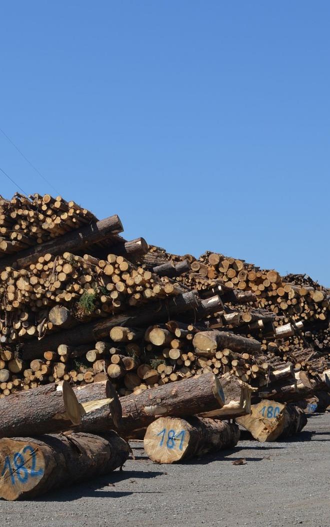 Forschung regional Beispiel Waldviertel Regionalwirtschaftliche Effekte Impulse für die Waldbewirtschaftung in der Region durch Know-how aus den