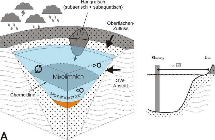Dynamisches See-Modell basierend auf Untersuchungen in Eckfeld und Vergleichen mit 36 weiteren aquatische Fundstellen (z.b. Lutz 1997, Wappler 2003, Lutz & Kaulfuß 2006) % Siderit 3,6 m = ca.