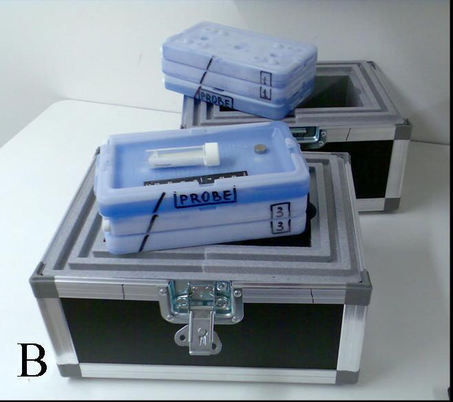 Create centralized cryobanks if possible Special tissue transportation boxes: Tissue can be transported for