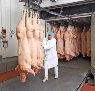 Feinstes Rind- und Geflügelfleisch stammt von renommierten, langjährigen, qualifizierten und geprüften Partnerbetrieben vorzugsweise direkt aus der Region.