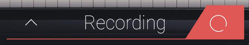 Recorder Dateiformat Typen Interner Recorder USB Audio Recorder Pianist Modus Sound Modus Pianist Modus & Sound Modus Recorder Format MP3 Audio (256 kbit/s) Kawai Song Format MP3 Audio (256 kbit/s),