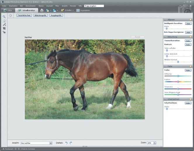 3 Photoshop Elements 5.0.0 kennen lernen 67 4 5 4 Der Editor teilt sich in zwei verschiedene Arbeitsbereiche auf.