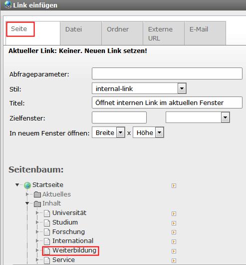 3. Es öffnet sich ein Dialogfenster, in dem verschiedene Links gesetzt werden können: a. Seite -> für Links auf Seiten oder Elemente innerhalb von Typo3 b. Externe URL c. E-Mail d.