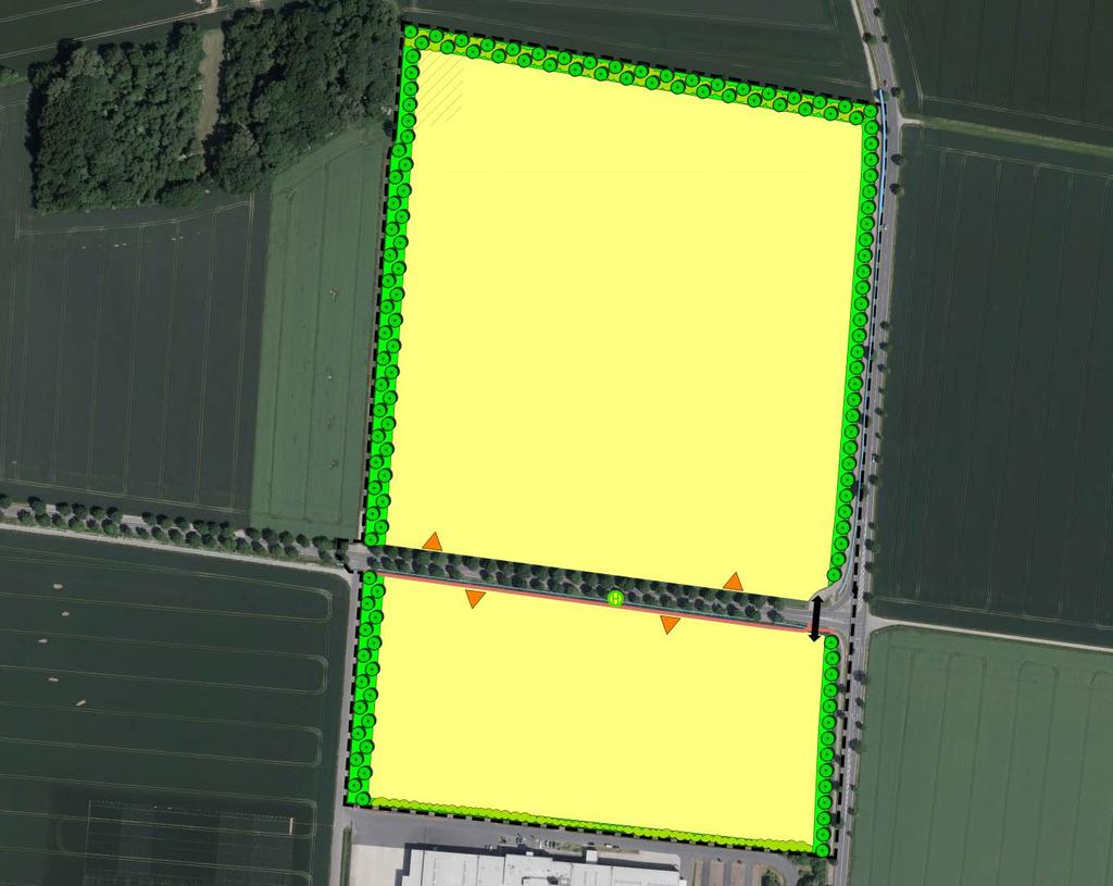 Grünordnungskonzept Nahbereich Präsentation: LandschaftsArchitekturbüro