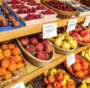 17 Mindesteigenschaften für Obst und Gemüse nach der EU-Vermarktungsnorm 1. Ganz (keine fehlenden Teile, keine mechanische Beschädigung) 2.