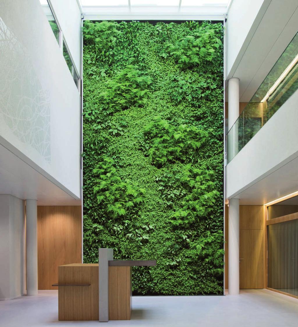 Vom Entwurf zum Unikat Raiffeisenbank, Solothurn Begrünte Wände und Baukörper entfalten ihre volle Wirkung nur, wenn dem gestalterischen Prozess eine zentrale Rolle