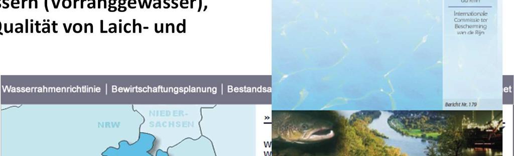 (FFH-Richtlinie) Masterplan Wanderfische