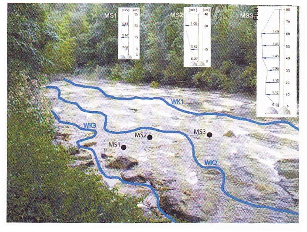 Maßnahmenplanung Naturnahe Sohlengleite (Gebler 2009) Verschiedene Wanderkorridore innerhalb einer Sohlengleite WK1: entlang der Hauptströmung