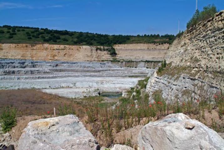 Kapitel 1: Flächennutzung in der Zementindustrie Genehmigte Abbauflächen der Steinbrüche: ca. 5.600 ha - davon etwa 2.