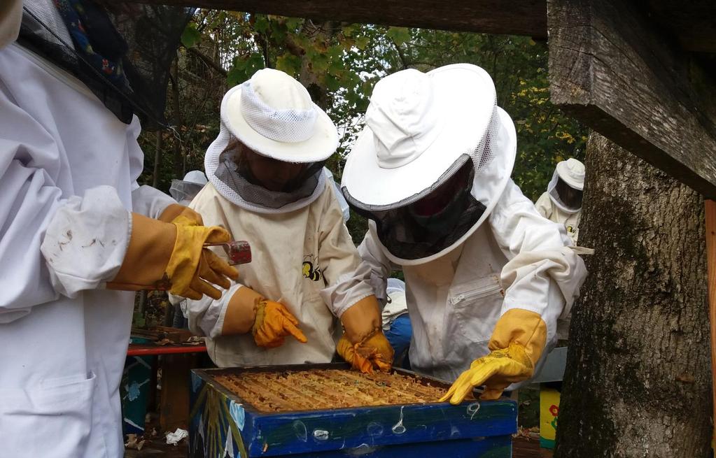 Im Oktober: Nach dem Füttern erfolgt eine regelmäßige Kontrolle die Bienen brauchen
