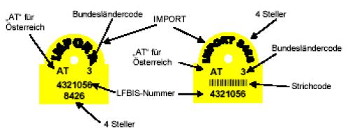 Nurlese-Passivtransponder mit der den ISO-Normen 11784 und 11785 entsprechende HDX- oder FDX-B-Übertragung. b) Sie sind mit der ISO-Norm 11785 entsprechenden Lesegeräten ablesbar, d. h.