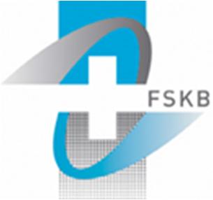 FSKB IT Guideline