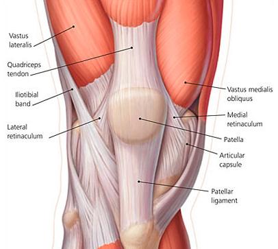 2. Theorie 2.1 Einführung in die Thematik der Patellaluxation Anatomisch gesehen liegt die Patella in einer Gleitrinne des Femur, der sogenannten Trochlea femoris (Schünke, M., Schulte, E.