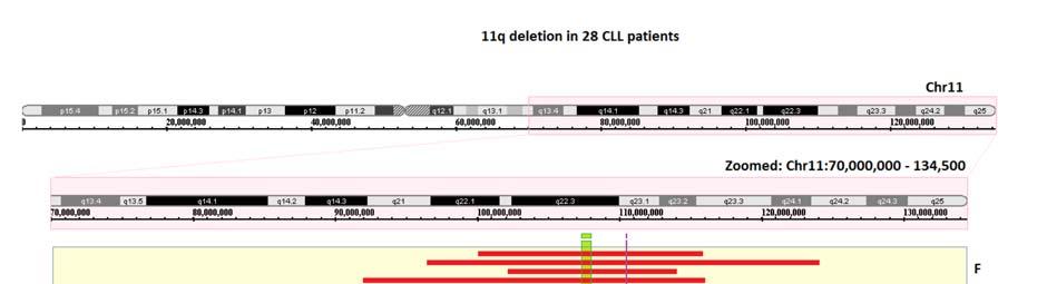Abbildung 3: Darstellung der Kopienzahlveränderung auf Chromosom 11 bei Patienten mit Nachweis einer 11q22-23 Deletion.