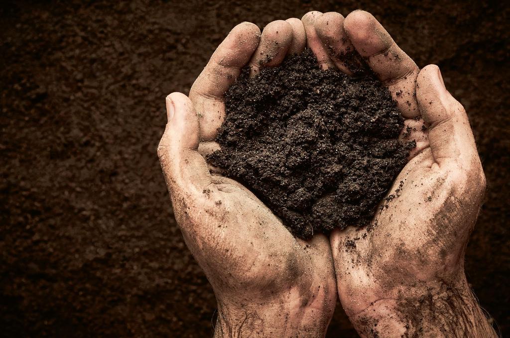 Gute Gründe für gute Böden Der Boden ist Lebensgrundlage für Mensch, Tier und Pflanze. Er speichert Wasser und Nährstoffe und ist prall gefüllt mit Leben.