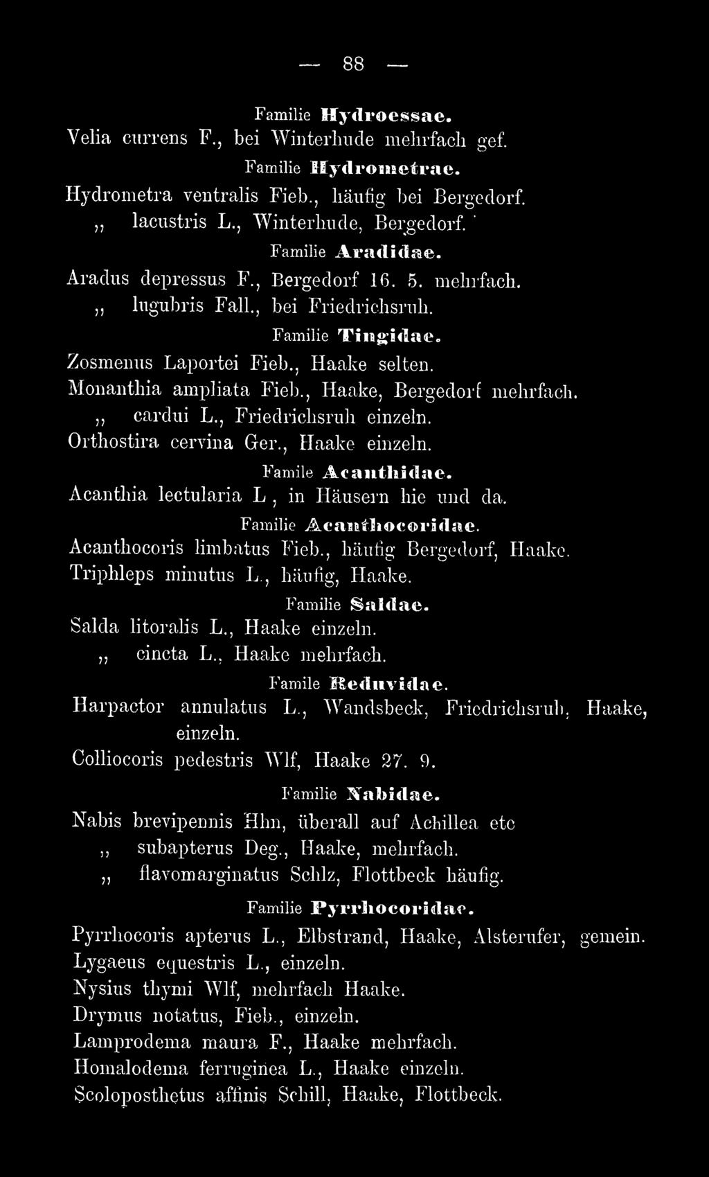 Harpactor annulatus L. Wandsbeck Fricdrichsruli Haake einzeln. CoUiocoris pedestris Wlf Haake 27. 9. Nabidae. Nabis brevipennis Hlin überall auf Achillea etc subapterus Deg. Haake mehrfach.