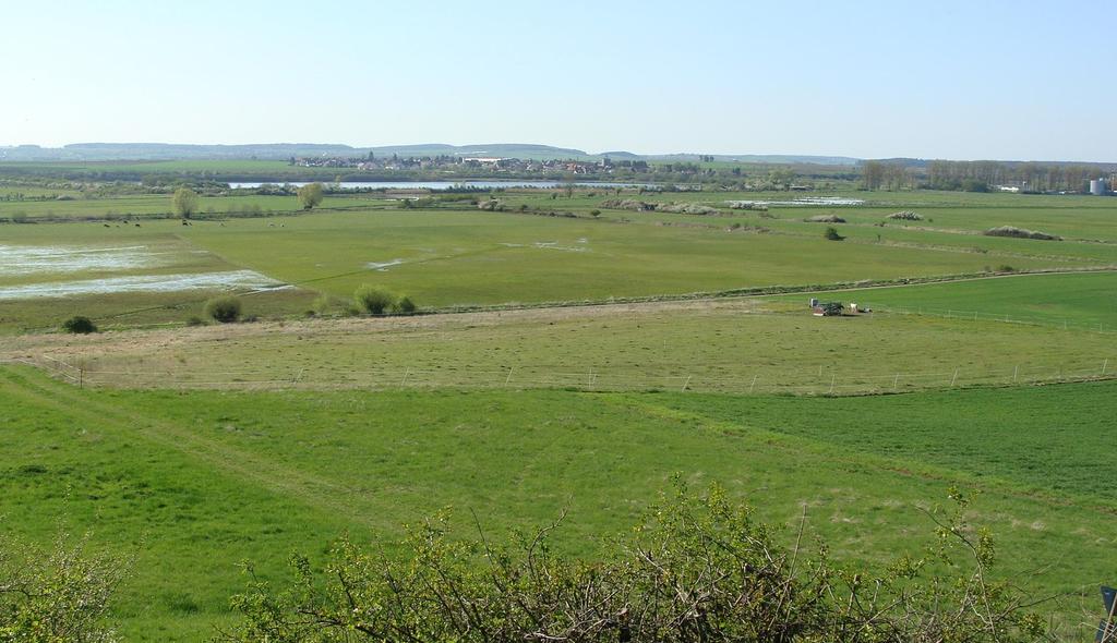 Auenverbund Wetterau Der Auenverbund Wetterau( 7.