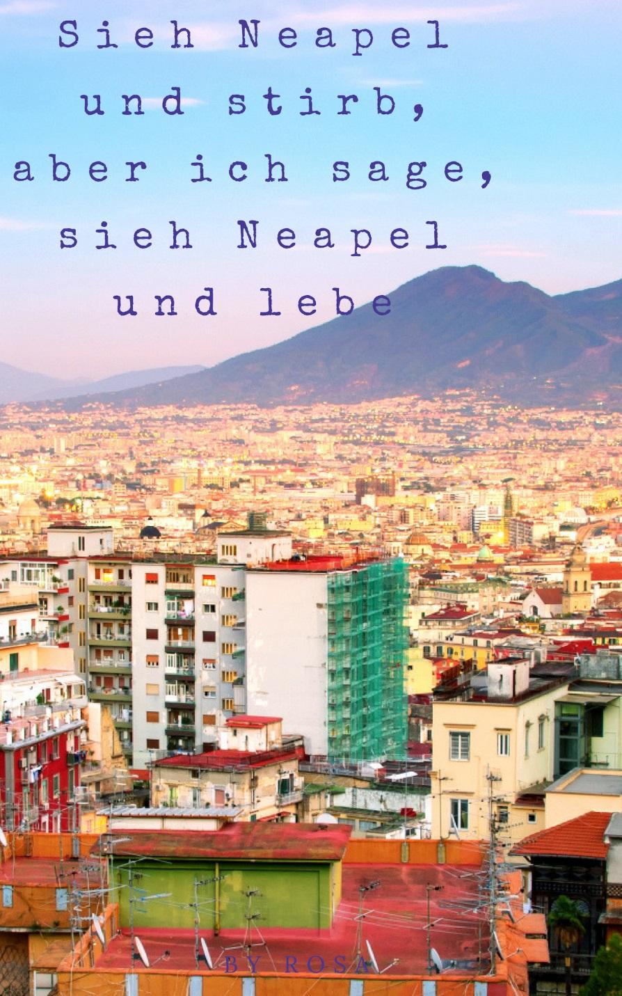 Name des Buches: Das Buch spricht folgende Sprachen: Rosa Italienisch Das Buch hat einiges zu erzählen über diese Themen: - Neapel - Die