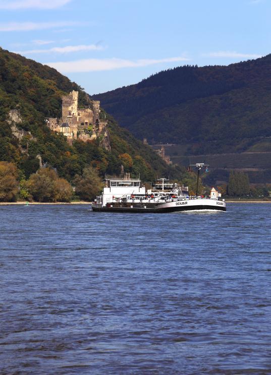 Sammler dominant  Lebensgemeinschaften Unterlauf (großer Fluss)