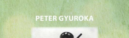 Peter Gyuroka liest aus seinem 2013 erschienenen Buch Sommerträume eine