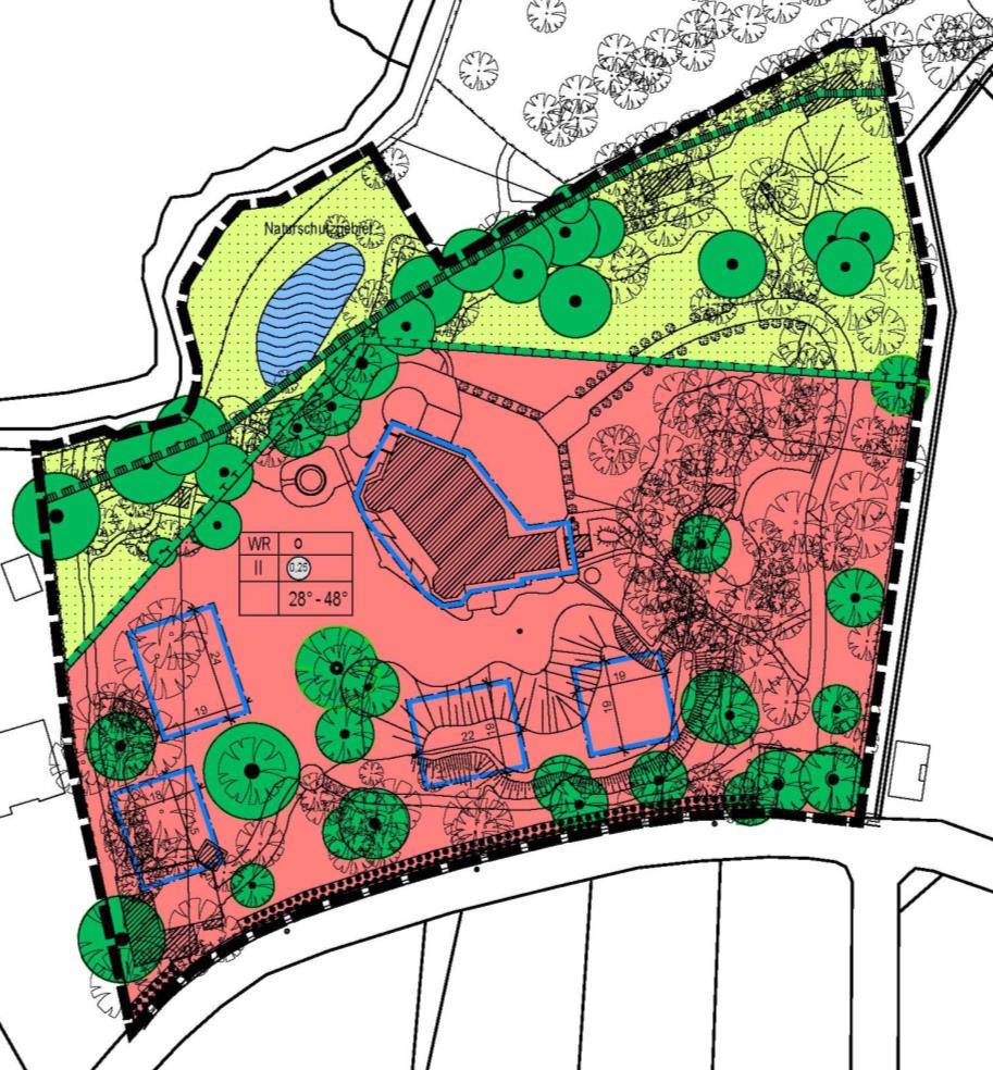Planung: Bebauungsplanentwurf Reines Wohngebiet GFZ 0,25 2 Vollgeschosse, offene Bauweise Dachneigung 28 48 Erhalt von Bäumen Erhalt der