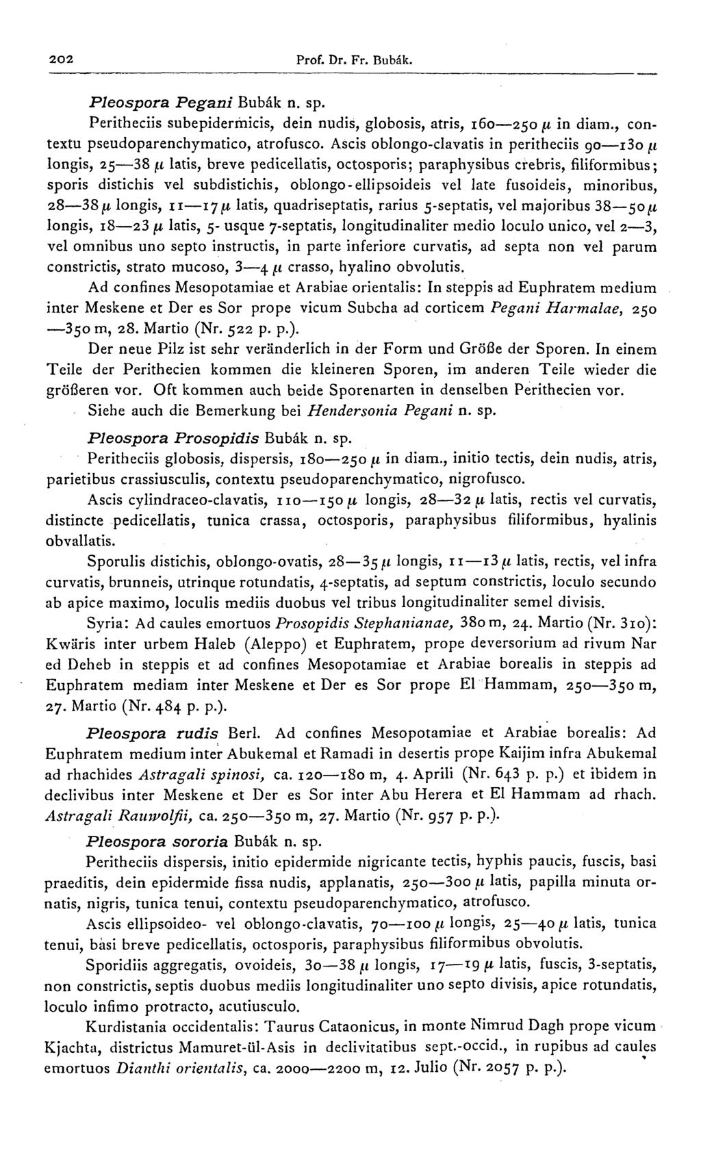 2O2 Prof. Dr. Fr. Bubâk. Pleospora Pegani Bubâk n. sp. Peritheciis subepiderrhicis, dein nudis, globosis, atris, 160 250 fi in diam., contextu pseudoparenchymatico, atrofusco.