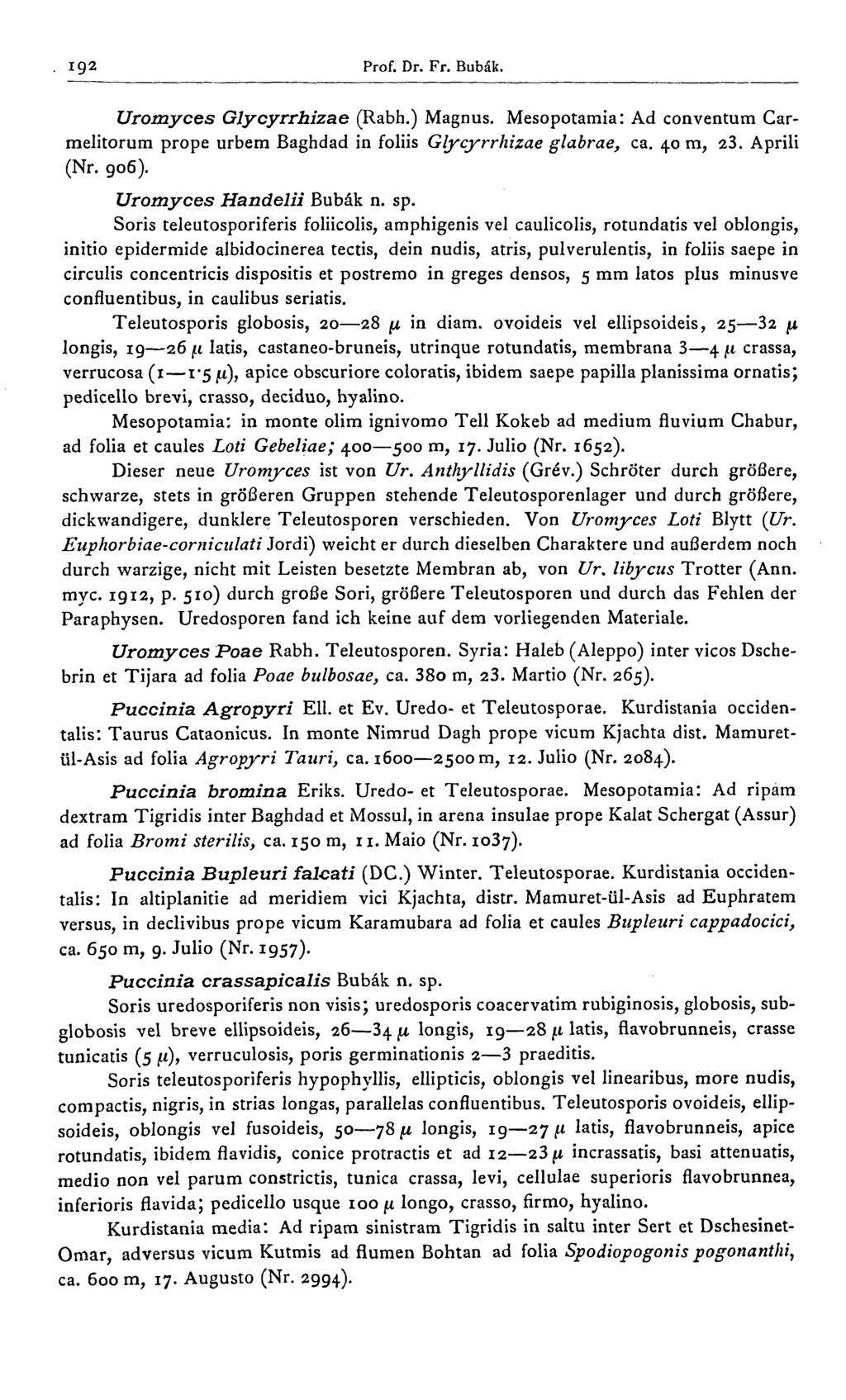 192 Prof. Dr. Fr. Bubâk. Uromyces Glycyrrhizae (Rabh.) Magnus. Mesopotamia: Ad conventum Carmelitorum prope urbem Baghdad in foliis Glycyrrhizae glabrae, ca. 40 m, 23. Aprili (Nr. go6).