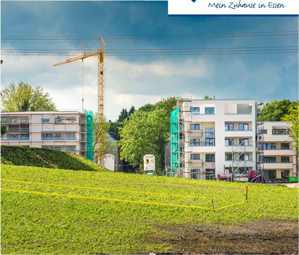 Neubau-Projekt Uferviertel - Niederfeldsee Projektpartner: Stadt Essen (Grün & Gruga sowie diverse Ämter) Uni Duisburg-Essen