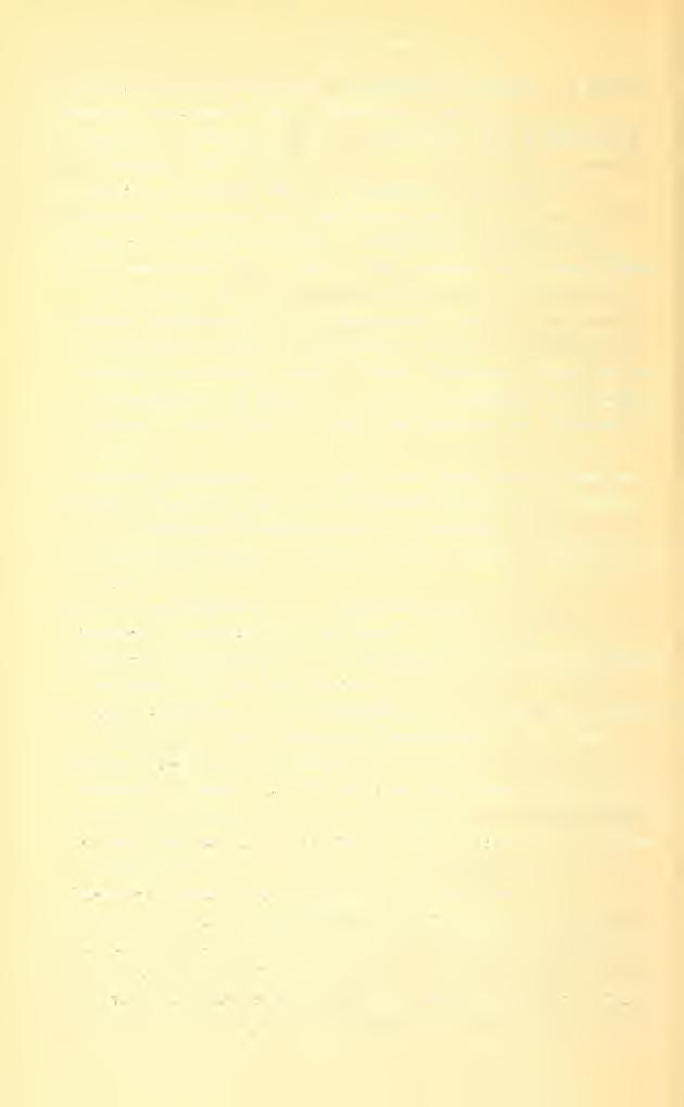 18 Phüonthus longicornis Steph. Königsdorf-Jastzremb. (A.) 8. Stilicus orbiciilatus PayJc. Gräfenberg. (A.) 7. TrogopMoeus fuliginosus Gr. Bahnsticlie bei Arnsdorf (G.). Waldenb. Geb. (G.) 6.