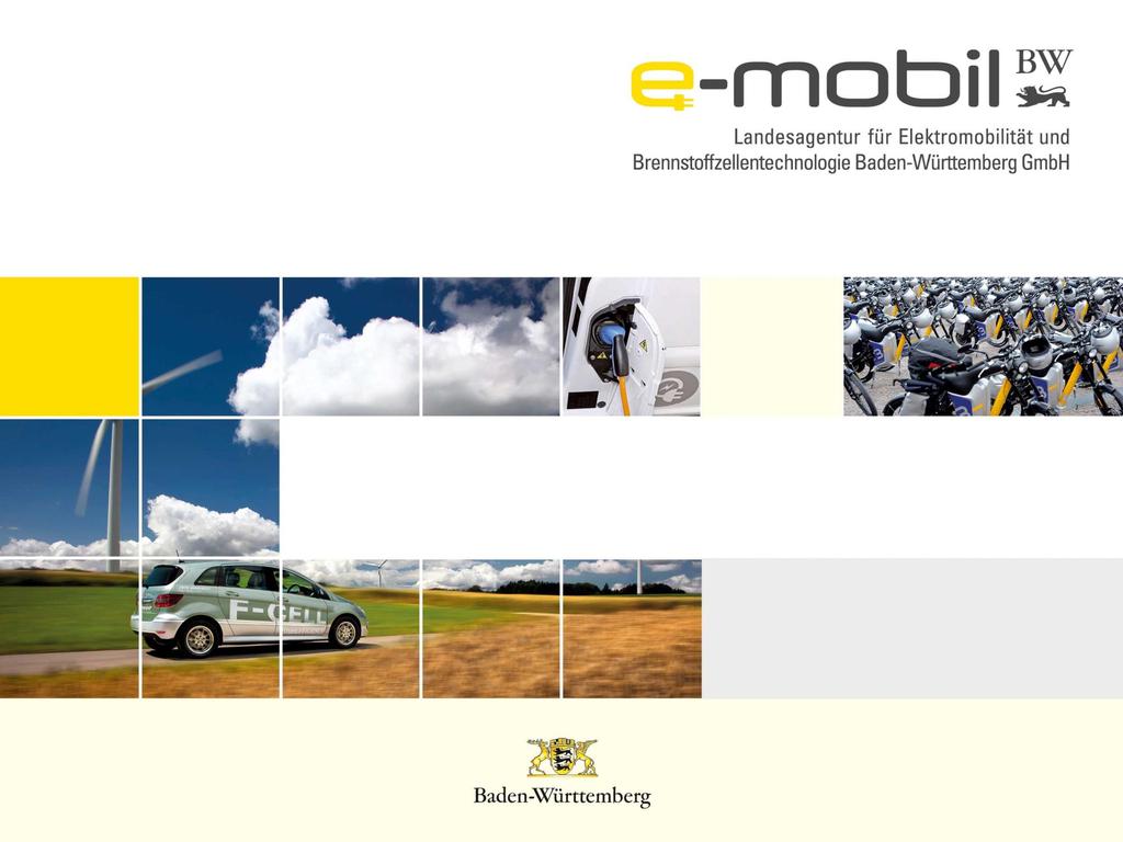 Elektromobilität im Ländlichen Raum Rahmenbedingungen & Förderprogramme in