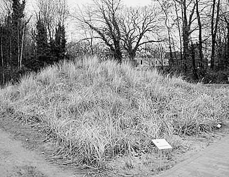 2a), ein lebendes Hochmoor und eine Düne mit der jeweils charakteristischen Pflanzenwelt. Die 1966 angelegte Düne wurde 1995 erneuert.