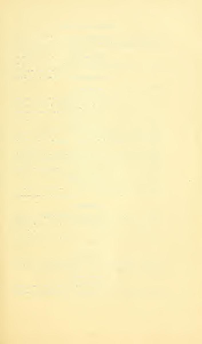 Beitrag zur Flora von Ostafrika. 7 Chloris Abyssinica Höchst. Chloris myriostachya Höchst. Muani, Mtoto Andei, Ndi. Eragrostis superba Peyr. et Wavvra. Athi Plains, Kiboko R.