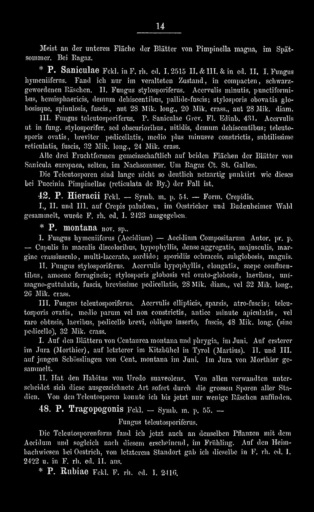 sed obscurioribus, nitidis, demum dehiscentibus; teleutosporis ovatis, breviter pedicellatis, medio plus minusve constrictis, subtilissime reticulatis, fuscis, 32 Mik. long., 24 Mik. crass.