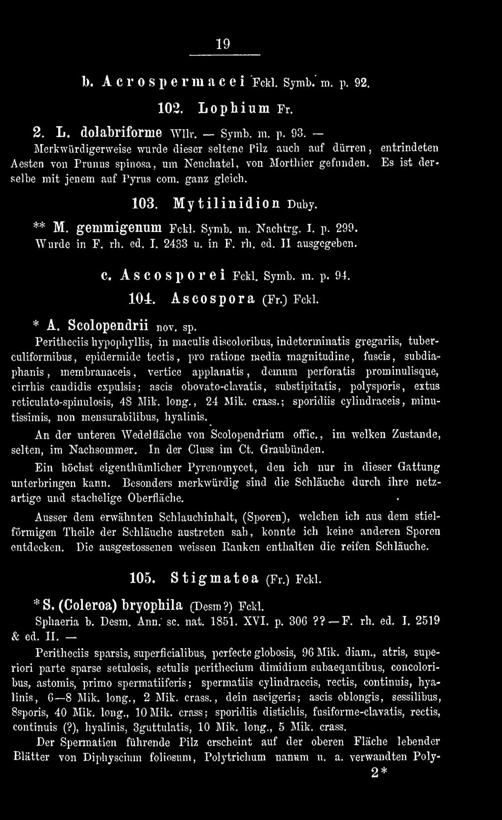 Peritheciis hypophyllis, in maculis discoloribus, indeterminatis gregariis, tuberculiformibus, epidermide tectis, pro ratione media magnitudine, fuscis, subdiaphanis, membranaceis, vertice