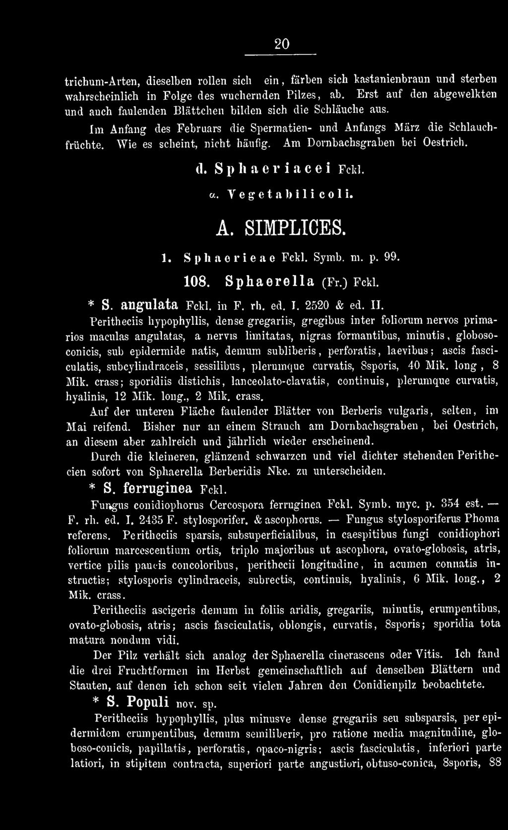 Peritheciis hypophyllis, dense gregariis, gregibus inter foliorum nervös primarios maculas angulatas, a nervis limitatas, nigras formantibus, minutis, globosoconicis, sub epidermide natis, demum