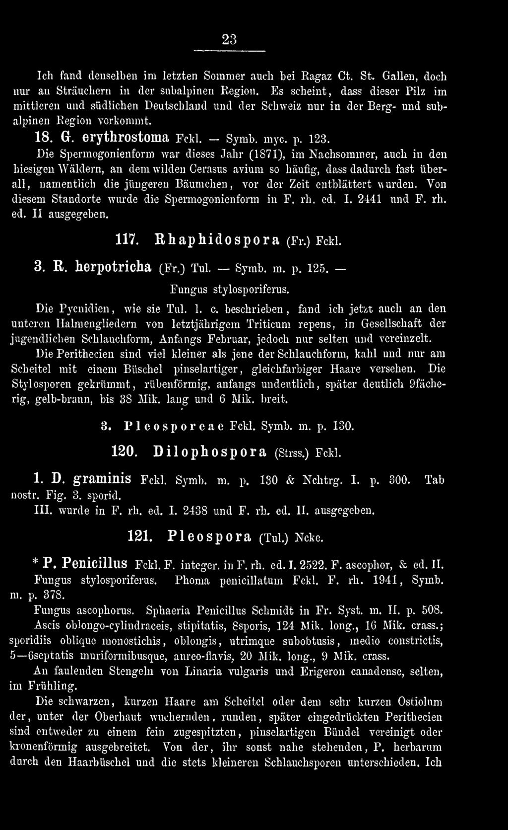 125. Fungus stylosporiferus. Die Pycnidien wie, sie Tul. 1. c.