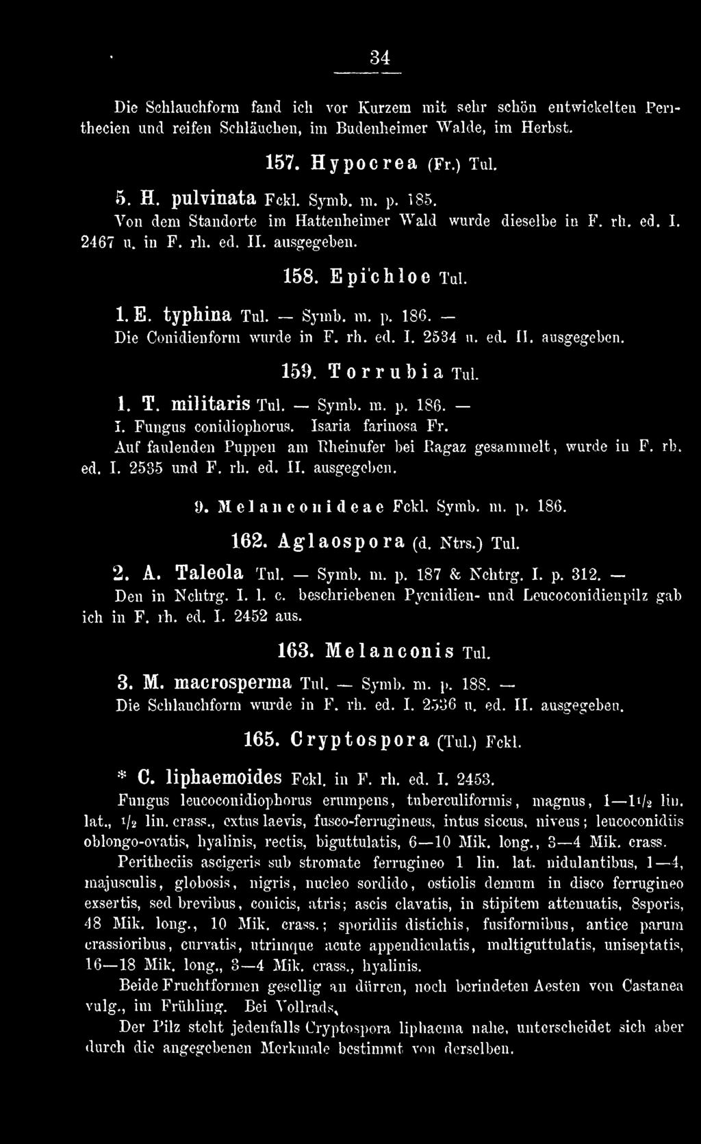 beschriebenen Pycnidien- und Leucoconidienpilz gab ich in F. rh. ed. I. 2452 aus. 163. Melanconis Tul. 3. M. macrosperma Tul. Symb. m. p. 188. Die Schlauchform wurde in F. rh. ed. I. 2536 u. ed. II.