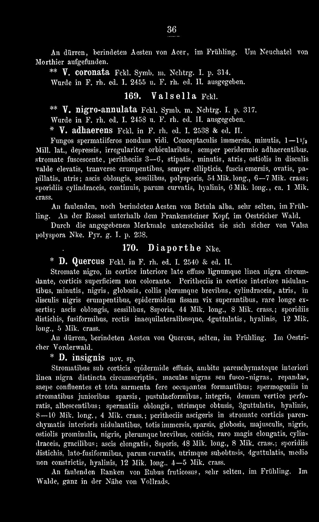 erumpentibus, semper ellipticis, fuscis emersis, ovatis, papillatis, atris; ascis oblongis, sessilibus, polysporis, 54 Mik. long., 6 7 Mik.