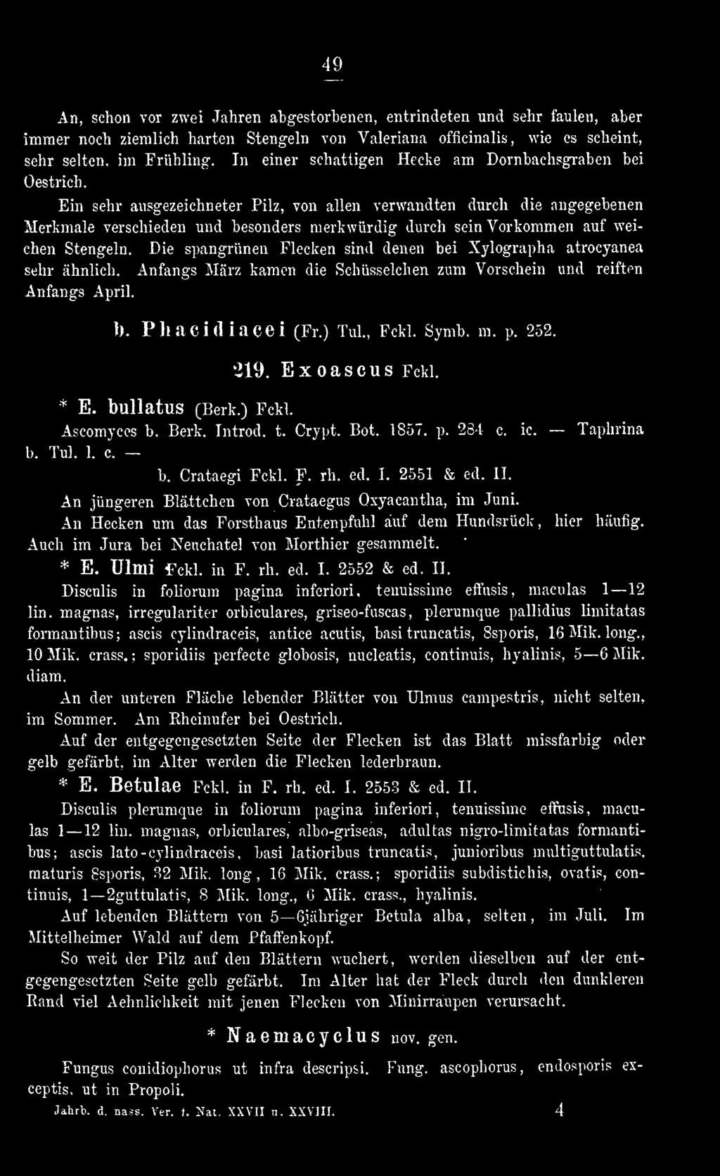 252. * E. bullatus (Berk.) Fckl. 219. Exoascus Fckl. Ascomyces b. Berk. Introd. t. Crypt. Bot, 1857. p. 284 c. ic. Taphrina b. Tul. 1. c. b. Crataegi Fckl. F. rh. ed. I. 2551 & ed. II.