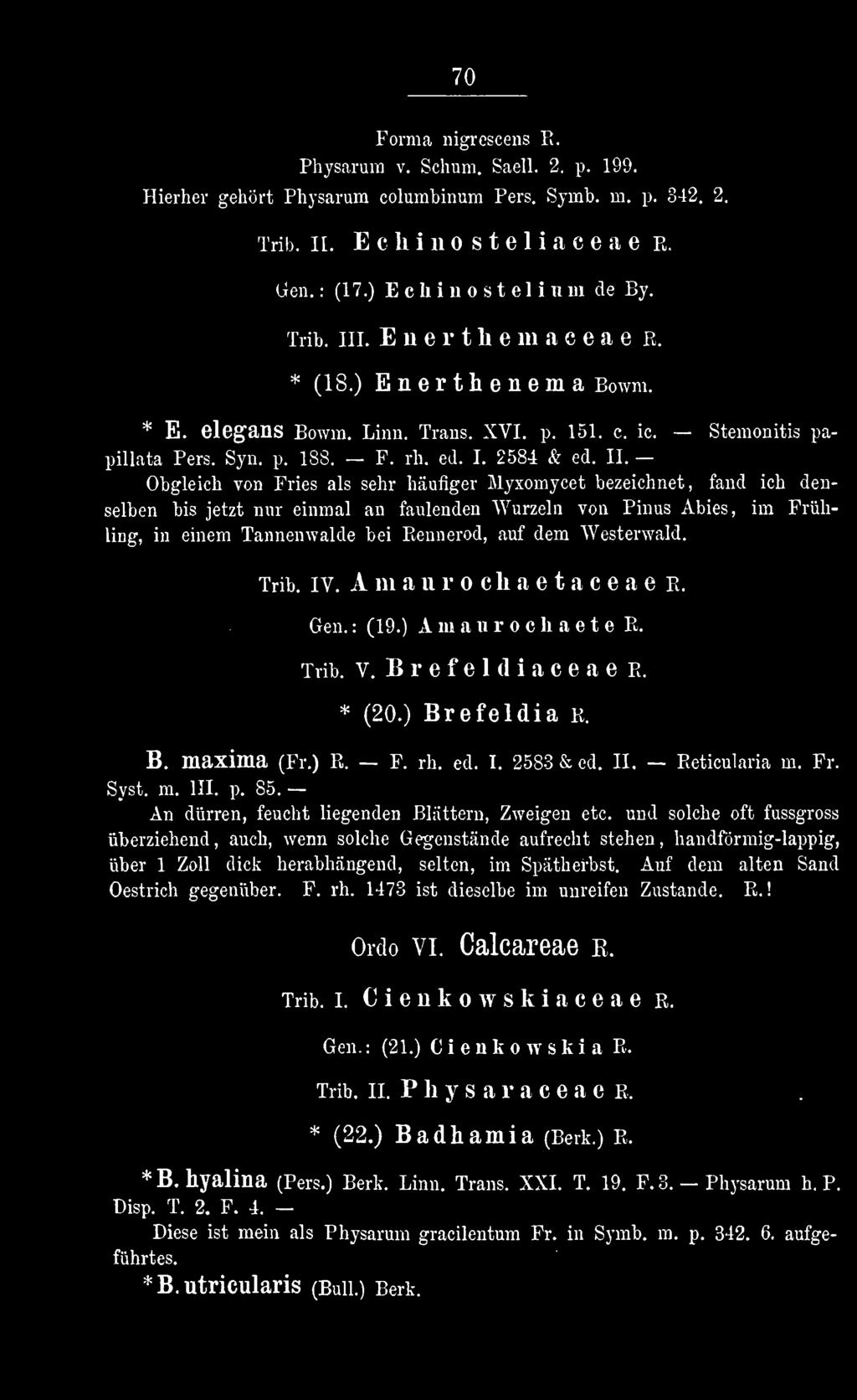 Syst. m. III. p. 85. An dürren, feucht liegenden Blättern, Zweigen etc.