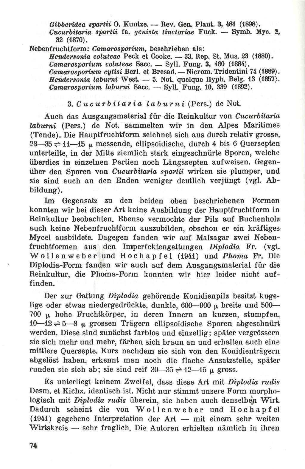Gibberidea spartii 0. Kuntze. Rev. Gen. Plant. 3, 481 (1898). Cucurbitaria spartii fa. genista tinctoriae Fuck. Symb. Myc. 2, 32 (1870).