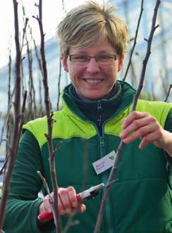 Dieser Prospekt ist eine Gemeinschaftswerbung der teilnehmenden grün erleben Gartencenter der SAGAFLOR AG. Änderungen in Form, Farbe und Dekor vorbehalten.