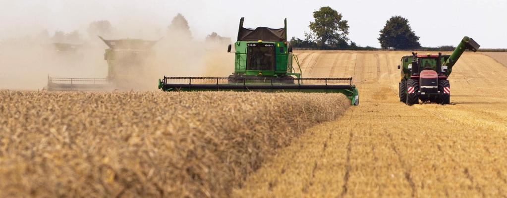 2 Erntebedingungen 2017 Die deutsche Getreideernte 2017 liegt unter dem schwachen Vorjahresergebnis und weist in den Qualitäten eine große Heterogenität auf.